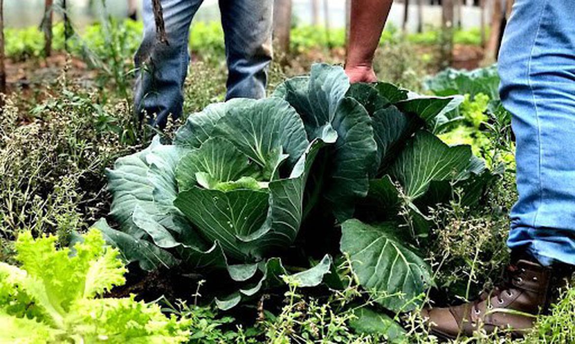 Prazo aberto: municípios podem aderir ao PAA para 2026 e fortalecer segurança alimentar
