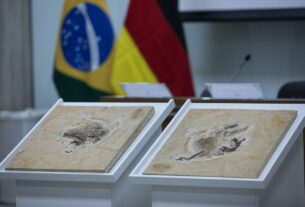 Repatriação de fósseis: Brasil intensifica esforços para reaver patrimônios de 14 países