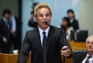 Espírito Santo debate proibição de coleiras eletrônicas em animais para proteger bem-estar