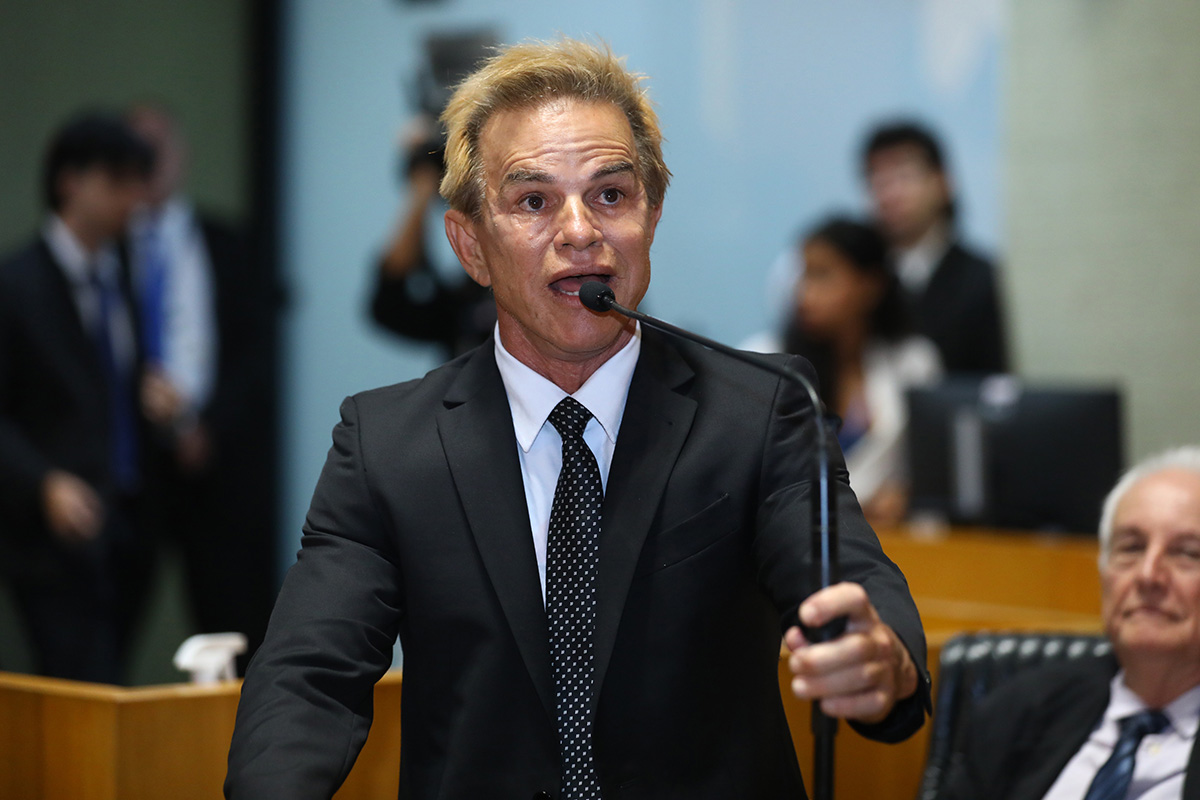 Espírito Santo debate proibição de coleiras eletrônicas em animais para proteger bem-estar