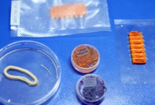 Embrapa revoluciona com salmão, caviar e anéis de lula veganos impressos em 3D