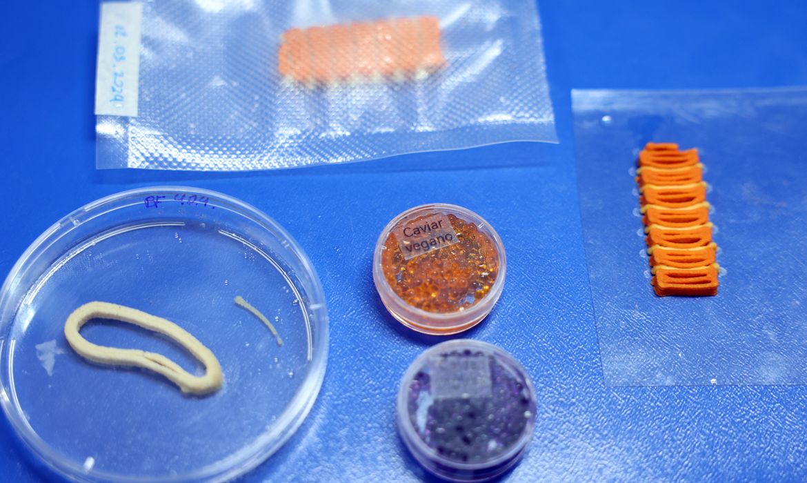 Embrapa revoluciona com salmão, caviar e anéis de lula veganos impressos em 3D