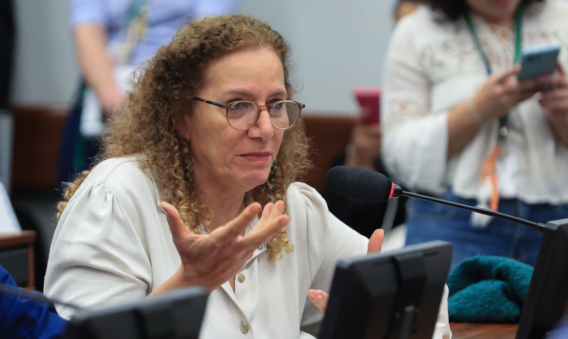 Parlamentares governistas brasileiros em Washington defendem soberania e rebatem narrativas