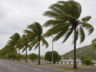 Defesa Civil diz que ventos de mais de 100 km/h que deixaram cinco mortos em SP e RJ não devem atingir o Espírito Santo