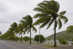 Defesa Civil diz que ventos de mais de 100 km/h que deixaram cinco mortos em SP e RJ não devem atingir o Espírito Santo