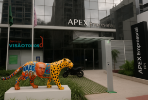 Dicionário da crise da Apex Partners: entenda os termos financeiros e jurídicos usados na cobertura