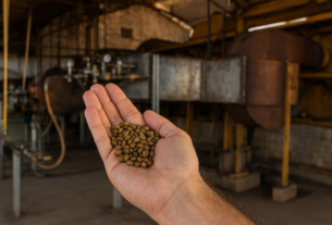 Espírito Santo testa gás natural para secagem de café com objetivo de substituir lenha