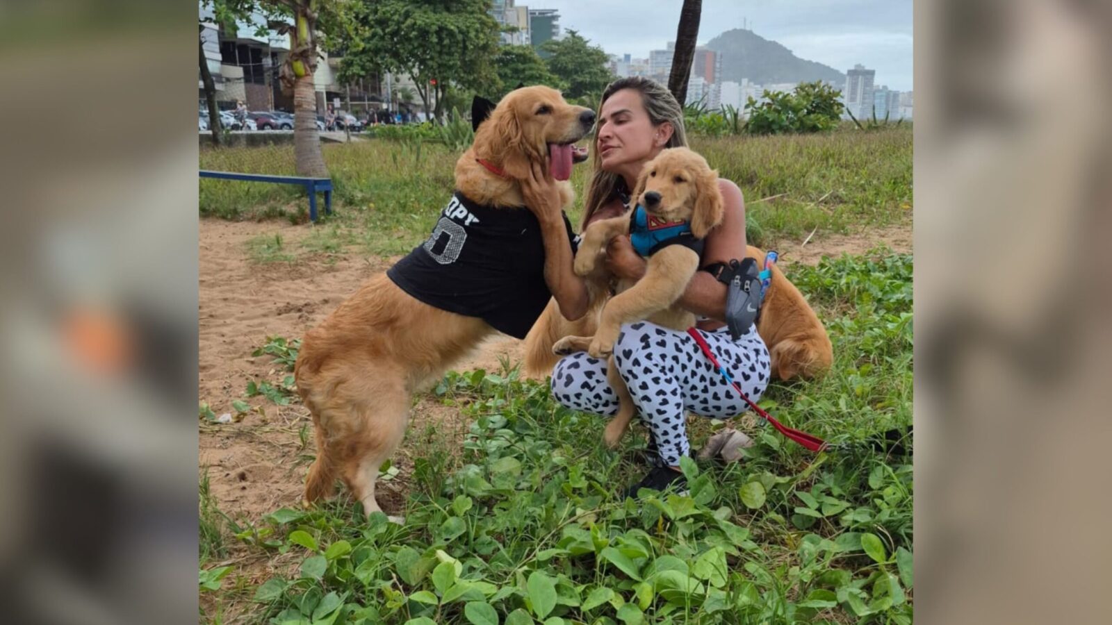 Wanessa Martha Gonçalves, 46, morre após ser atropelada na Avenida Dante Michelini, em Vitória