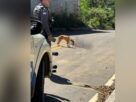 Jovem de 20 anos é morto a tiros e tem moto roubada em Cariacica