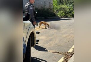 Jovem de 20 anos é morto a tiros e tem moto roubada em Cariacica