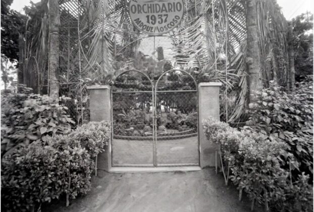 Exposição virtual a partir de 8 de setembro revela Vitória de mais de cem anos em 50 negativos de vidro