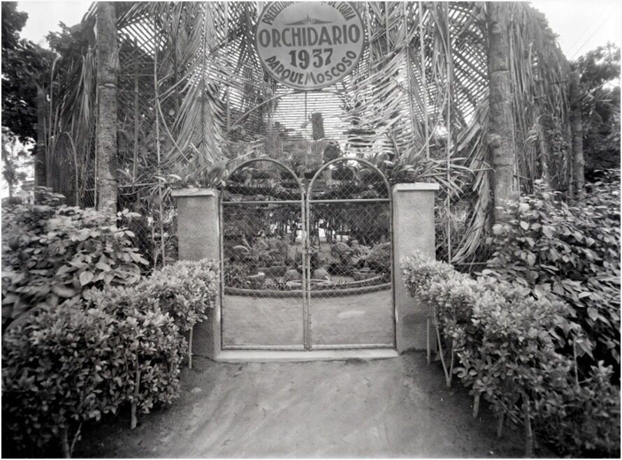 Exposição virtual a partir de 8 de setembro revela Vitória de mais de cem anos em 50 negativos de vidro 1 Exposição virtual a partir de 8 de setembro revela Vitória de mais de cem anos em 50 negativos de vidro