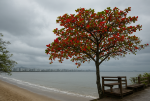 Inmet alerta para vendaval e ventos costeiros no Espírito Santo entre 6 e 8 de agosto de 2026
