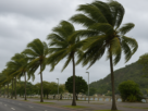 Inmet emite alerta de ventos costeiros para 24 municípios do Espírito Santo até quinta (30)